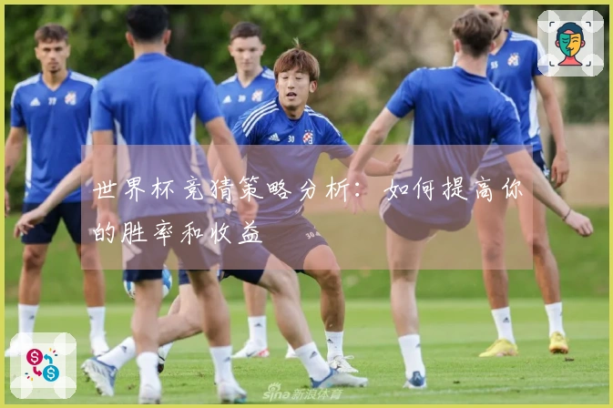 世界杯竞猜策略分析：如何提高你的胜率和收益