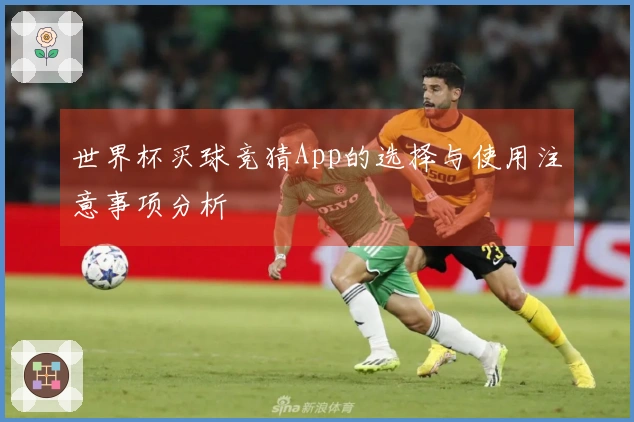 世界杯买球竞猜App的选择与使用注意事项分析