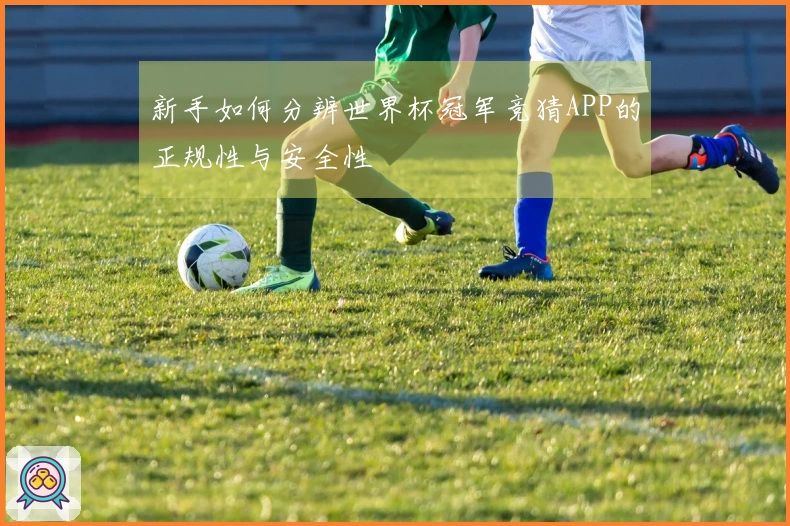 新手如何分辨世界杯冠军竞猜APP的正规性与安全性