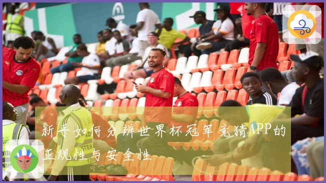 新手如何分辨世界杯冠军竞猜APP的正规性与安全性