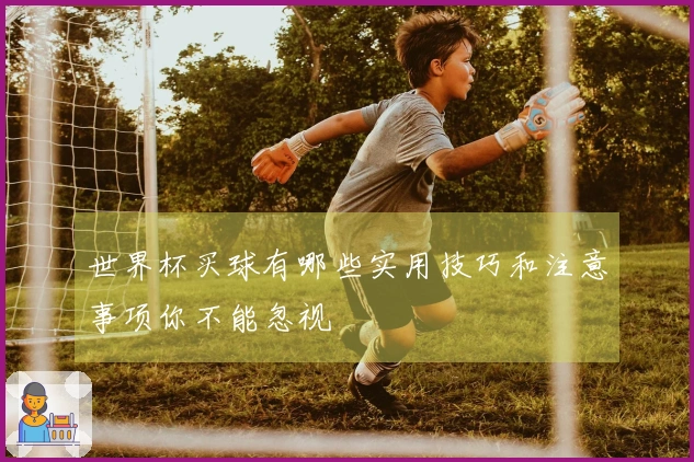 世界杯买球有哪些实用技巧和注意事项你不能忽视