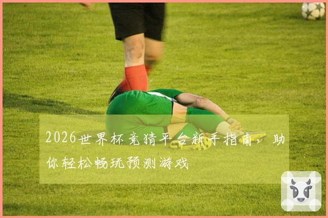 2026世界杯竞猜平台新手指南，助你轻松畅玩预测游戏