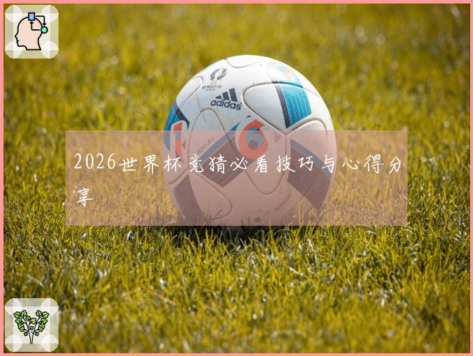 2026世界杯竞猜必看技巧与心得分享
