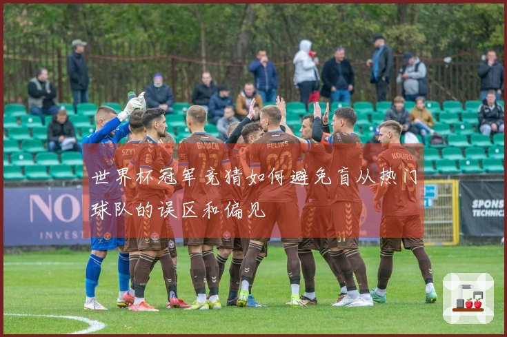 世界杯冠军竞猜如何避免盲从热门球队的误区和偏见
