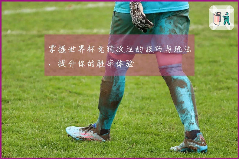 掌握世界杯竞猜投注的技巧与玩法，提升你的胜率体验