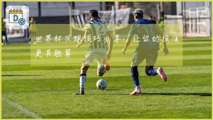 世界杯买球技巧分享，让你的投注更具胜算