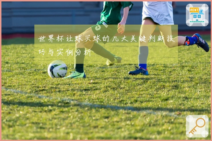 世界杯让球买球的几大关键判断技巧与实例分析