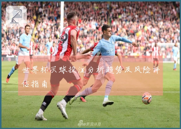 世界杯买球投注分析趋势及风险评估指南
