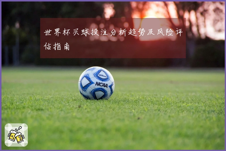 世界杯买球投注分析趋势及风险评估指南