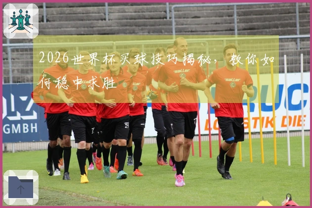 2026世界杯买球技巧揭秘，教你如何稳中求胜