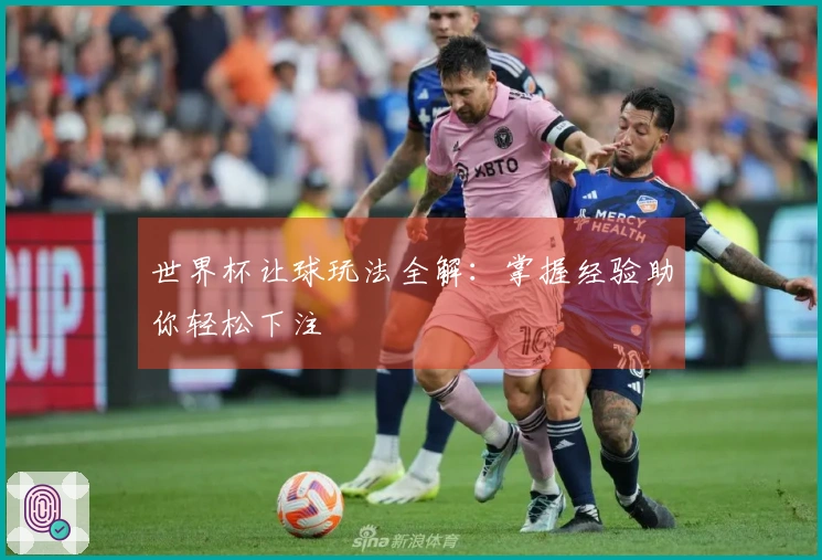 世界杯让球玩法全解：掌握经验助你轻松下注